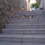 Syros Stone Yard House * Ermoupoli
